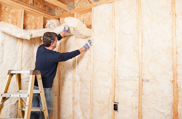 Trusted Palatine, IL Insulation Services Experts